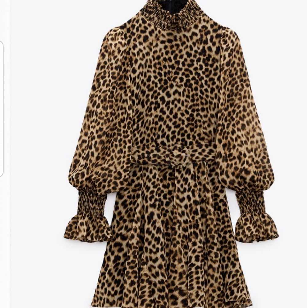 Zara animal print dress